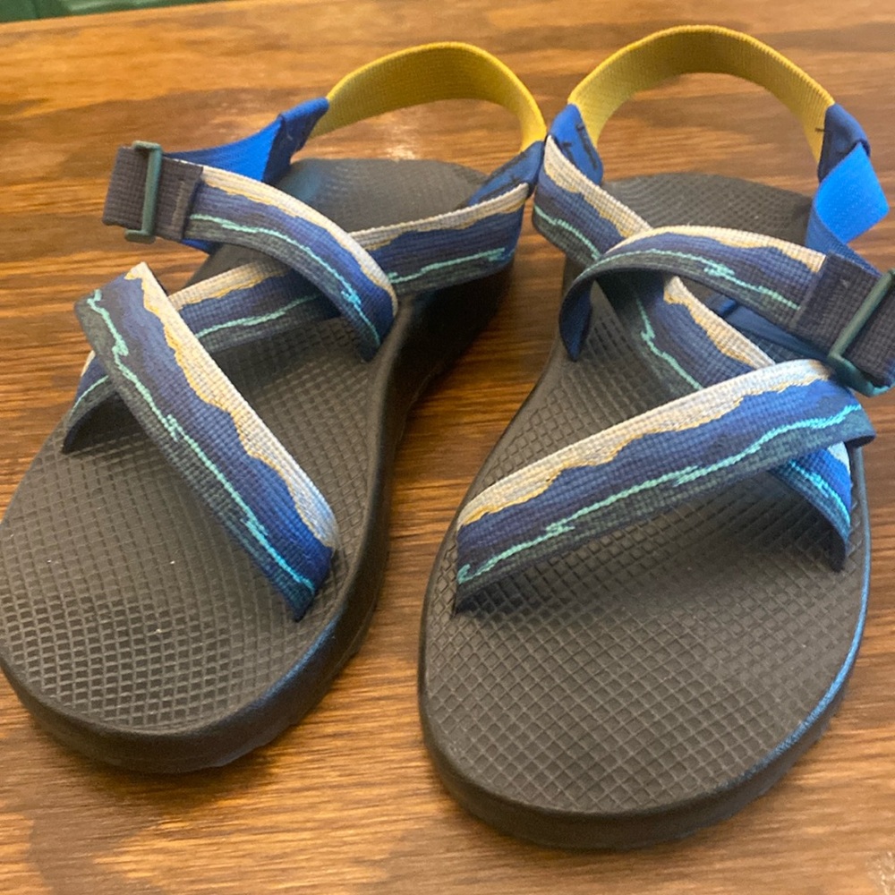 Men's Blueridge Mountain custom chacos 10